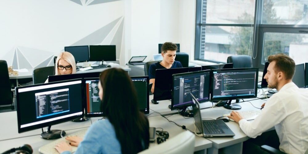 Software Dev Team